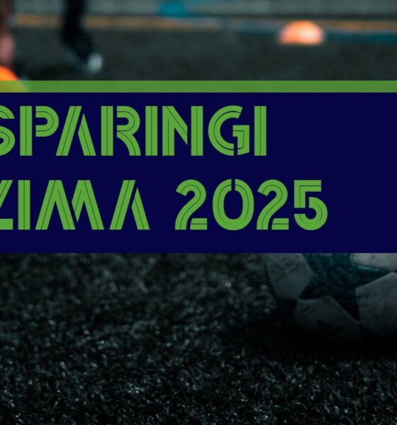 sparingi zima 2025